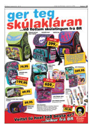 Síða 23