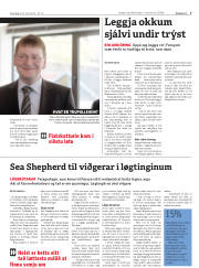 Síða 7
