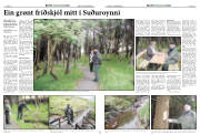 Síða 8
