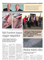 Síða 27