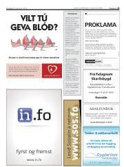 Síða 29