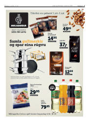 Síða 3