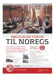 Síða 13