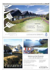 Síða 19