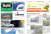 Síða 12