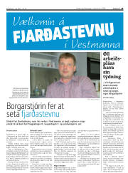 Síða 29