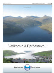 Síða 31