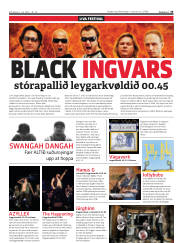 Síða 35