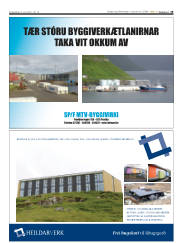 Síða 19