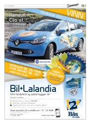 Síða 43