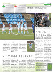 Síða 17