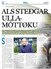 Síða 30