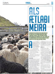 Síða 31