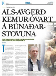 Síða 34