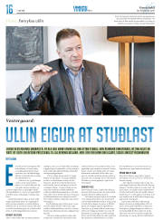 Síða 36