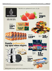 Síða 3