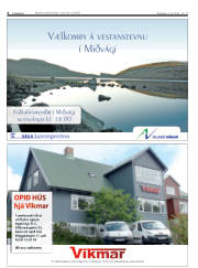 Síða 6
