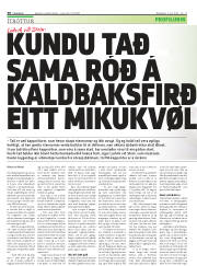 Síða 30