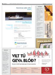 Síða 30