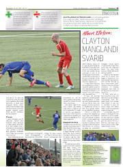 Síða 15