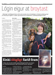 Síða 4