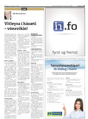 Síða 19