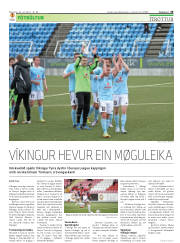 Síða 29