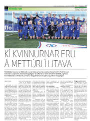 Síða 17