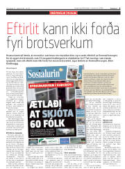 Síða 5