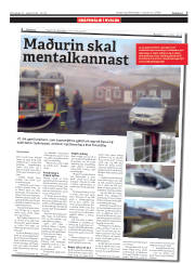 Síða 7