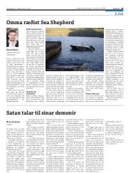 Síða 29