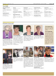 Síða 31