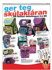 Síða 15