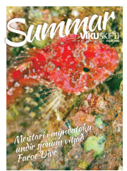 Síða 11