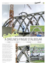 Síða 13