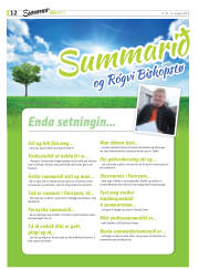 Síða 22