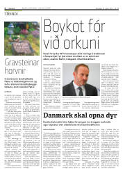 Síða 6