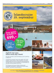 Síða 13