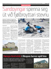 Síða 17