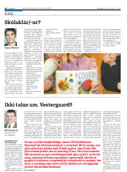 Síða 20