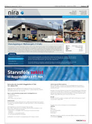 Síða 21