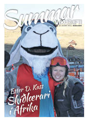 Síða 29