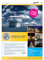 Síða 31