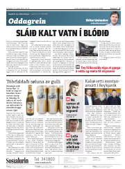Síða 2