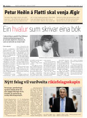 Síða 20