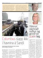 Síða 21