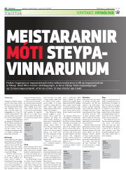 Síða 20