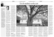 Síða 16
