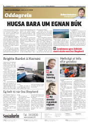 Síða 2