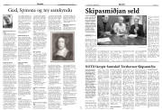 Síða 17